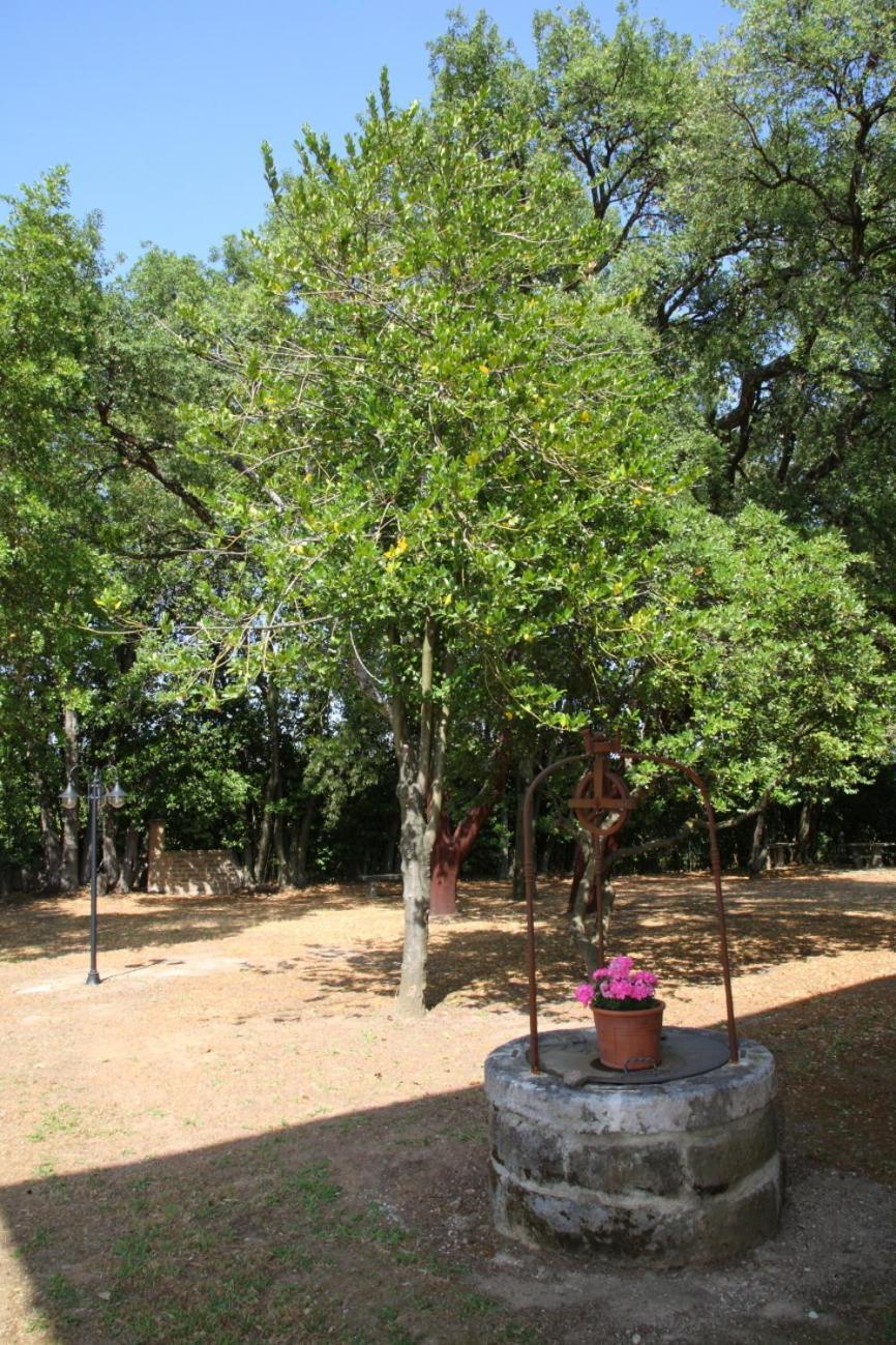 Agriturismo Casale Zuccari Caprarola Kültér fotó