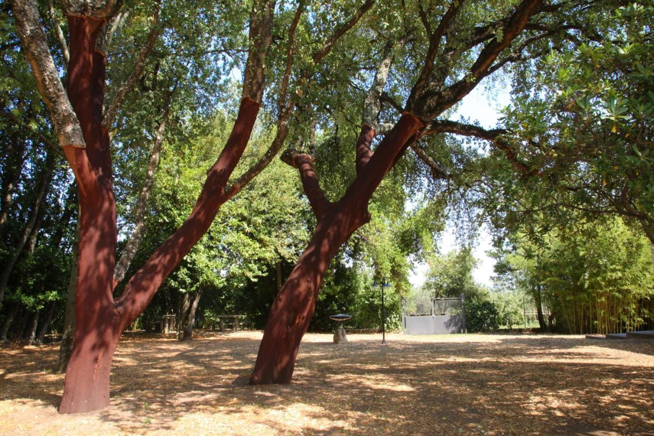 Agriturismo Casale Zuccari Caprarola Kültér fotó